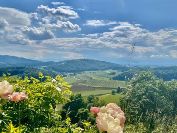 Ausblick