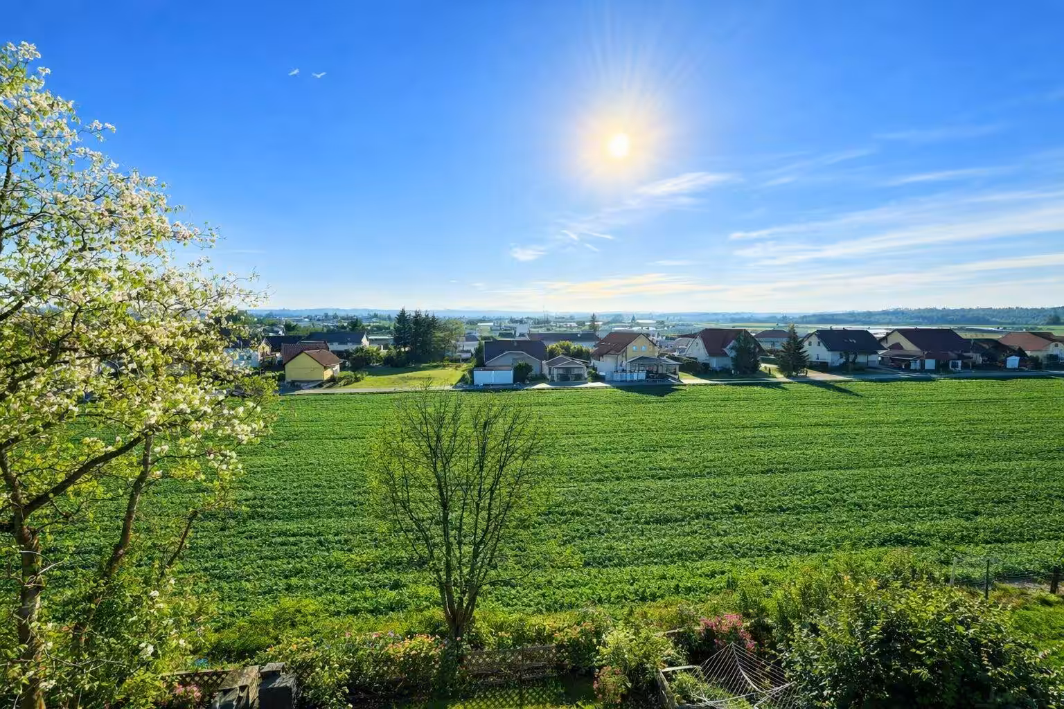 Blick 2 Balkon Frühling_Sommer
