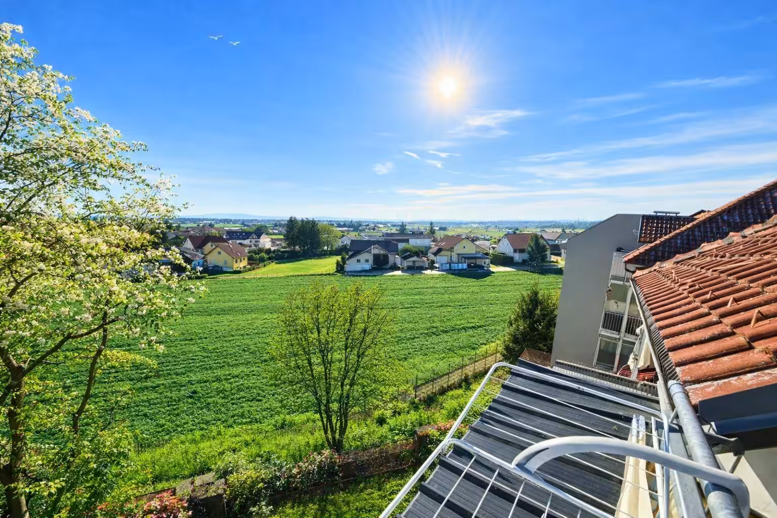 Blick 3 Balkon Frühling Sommer