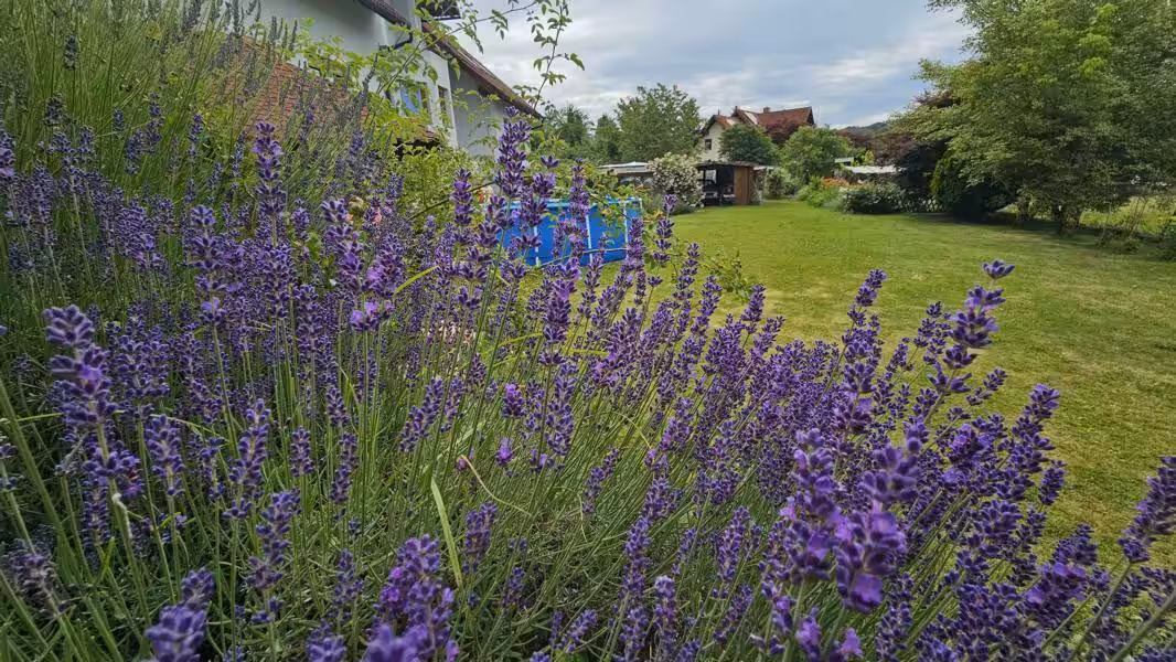 Impression Garten